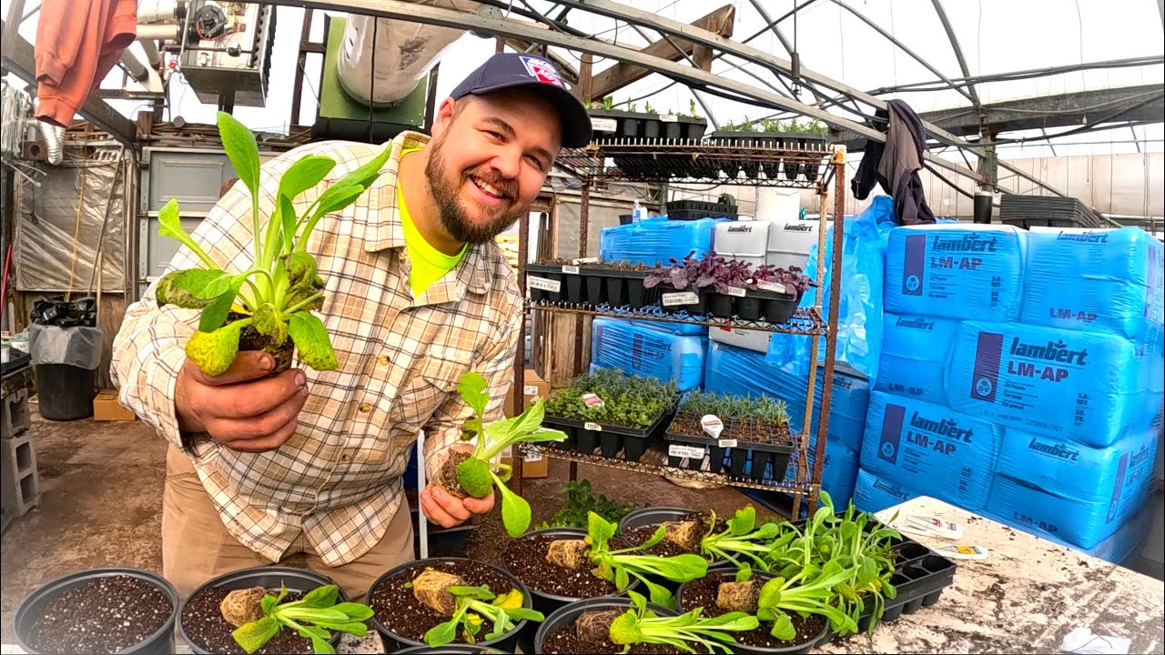 Our farm needed this