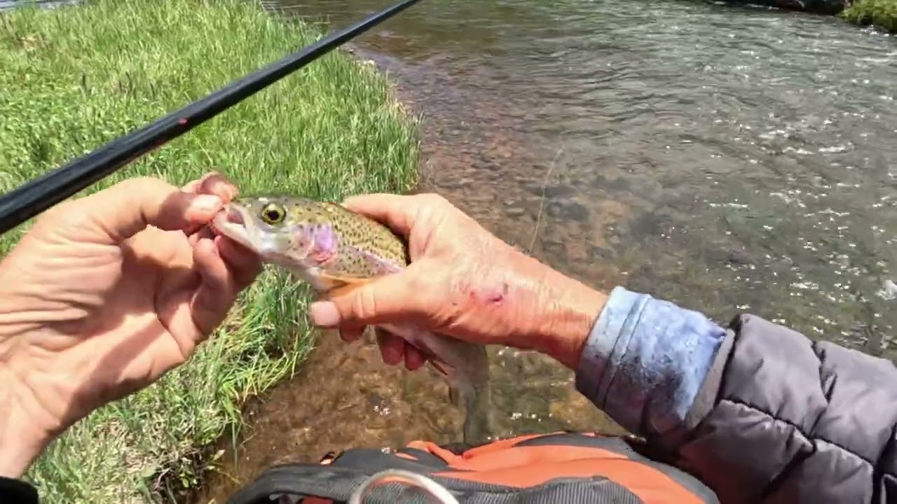 Backcountry Uinta Tenkara heyday