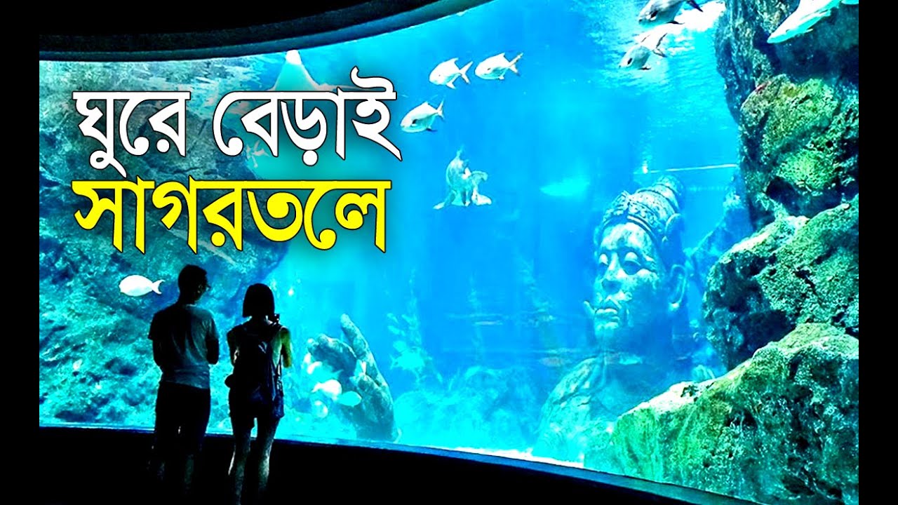 সী লাইফ ব্যাংকক - BANGKOK OCEAN WORLD - PARAGON FOOD HALL - BANGKOK