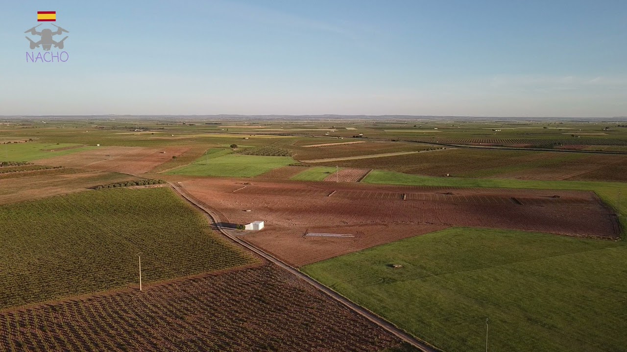 Socuellamos, viñedos y cereal, en altura, Castilla la Mancha, Ciudad Real.