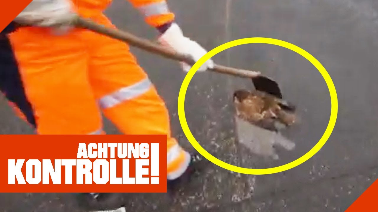 Reinigung unter extremen Bedingungen: Arbeiten auf der Autobahn | Achtung Kontrolle | Kabel Eins