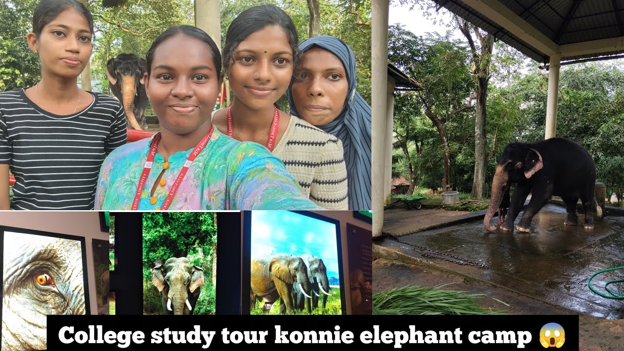 Study tour in my college (1 day trip) 😌💃🏻#konnielephantcamp #dailyvlog #viralvideo #trip 