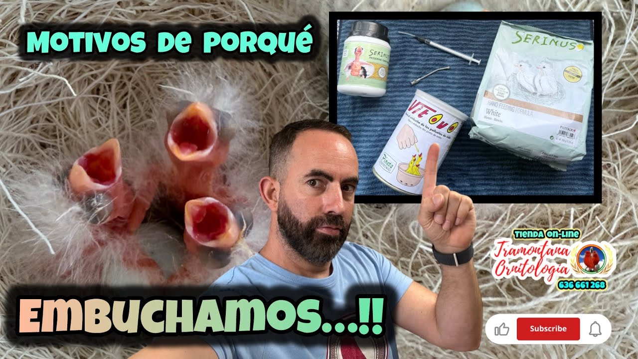 Porque embuchar a los pichones!!!
