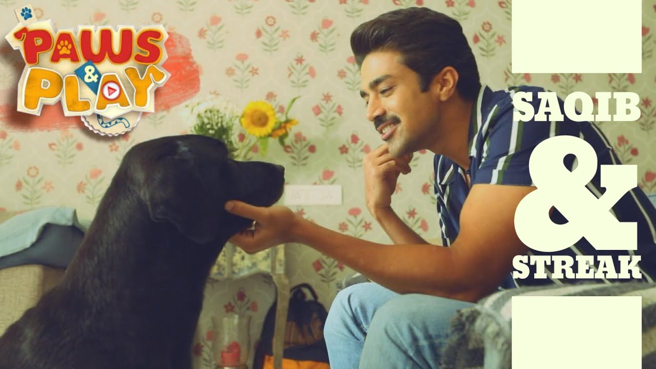 PAWS & PLAY: Saqib Saleem | Bringing a pet home