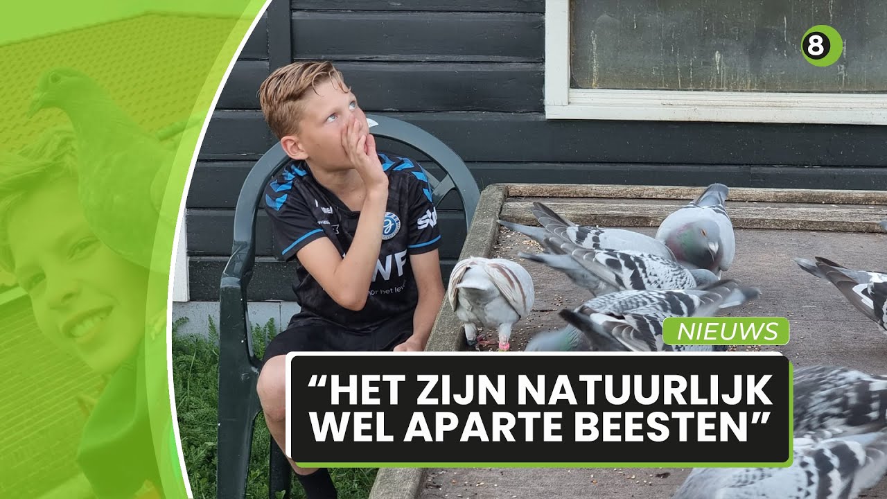 Dani van Lier (11) uit Halle na drie wedstrijden al kampioen met zijn duiven