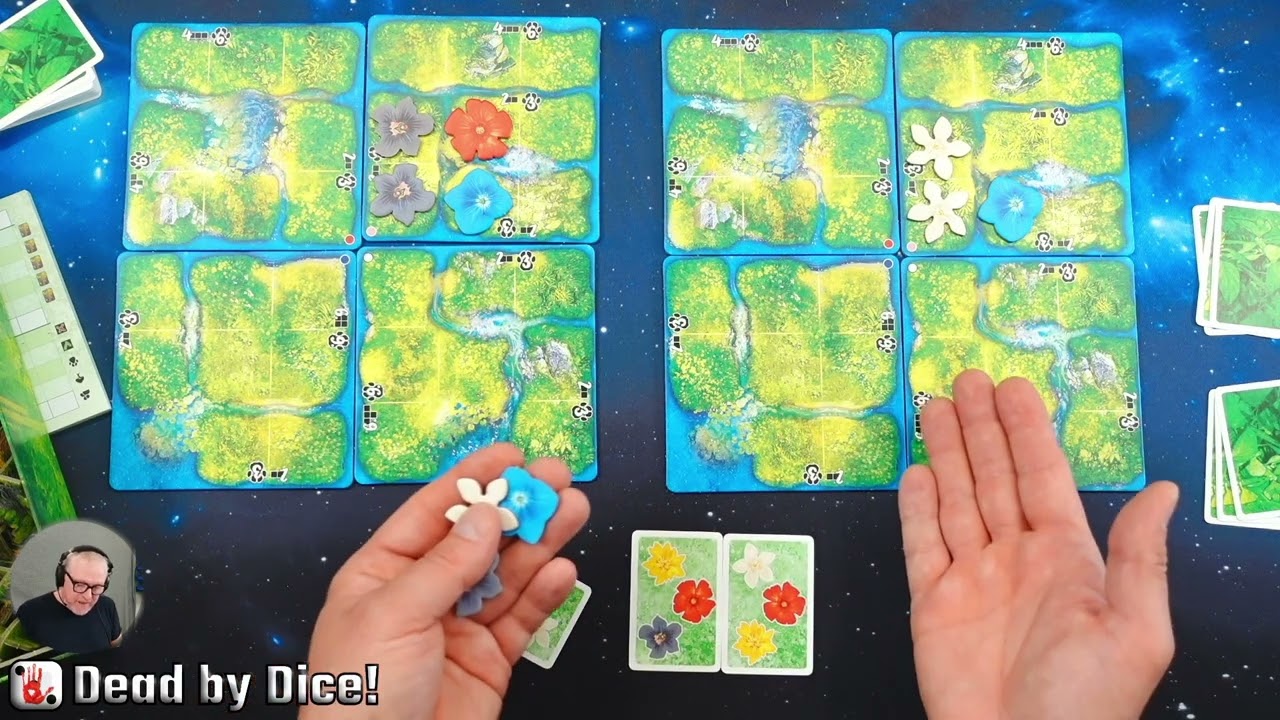 Hutan - Life in the rainforest | Kan du locka till dig en tiger?