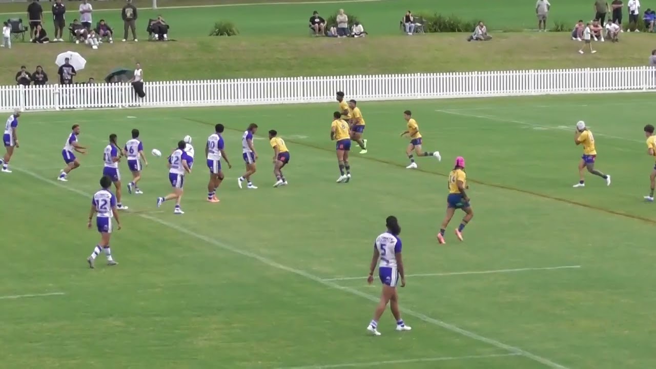 Parra HM v Dogs 11 Jan 25 trial 2nd Half