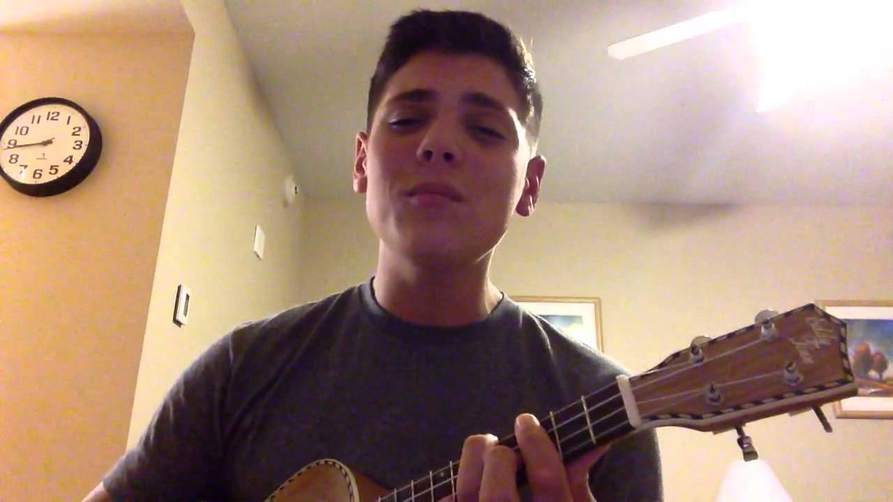 Fly-Common Kings (COVER)