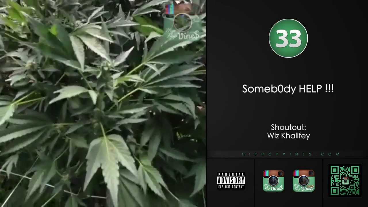 Hip Hop Vines Compilation - Episode 5 (100+ HD Vines)
