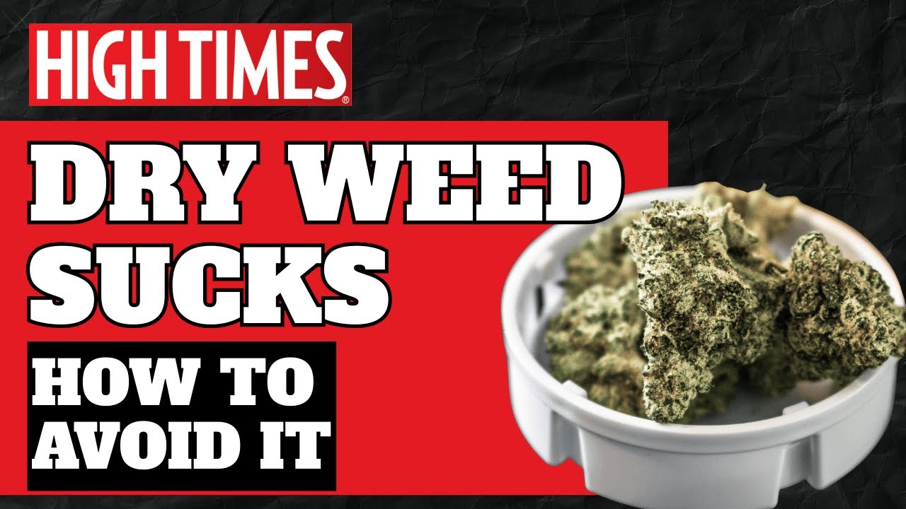THE FASTEST WAY TO RUIN WEED (AND HOW TO AVOID IT)