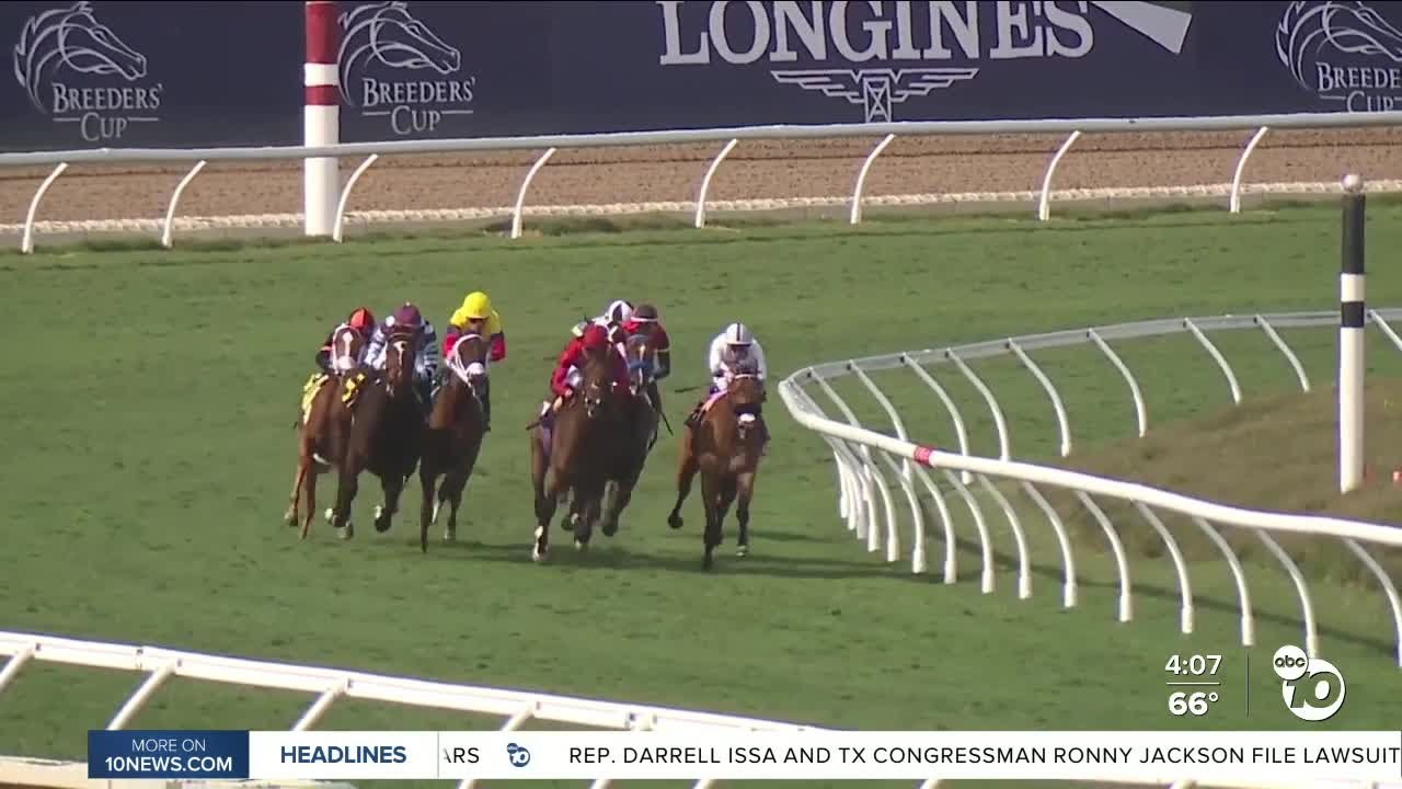 Breeders' Cup returns, brings world-class horse racing to Del Mar