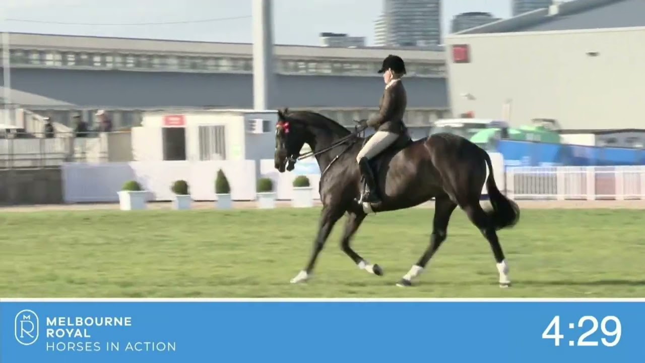 Champion Open Small Hack, 15 hands n/o 16 hands 2022