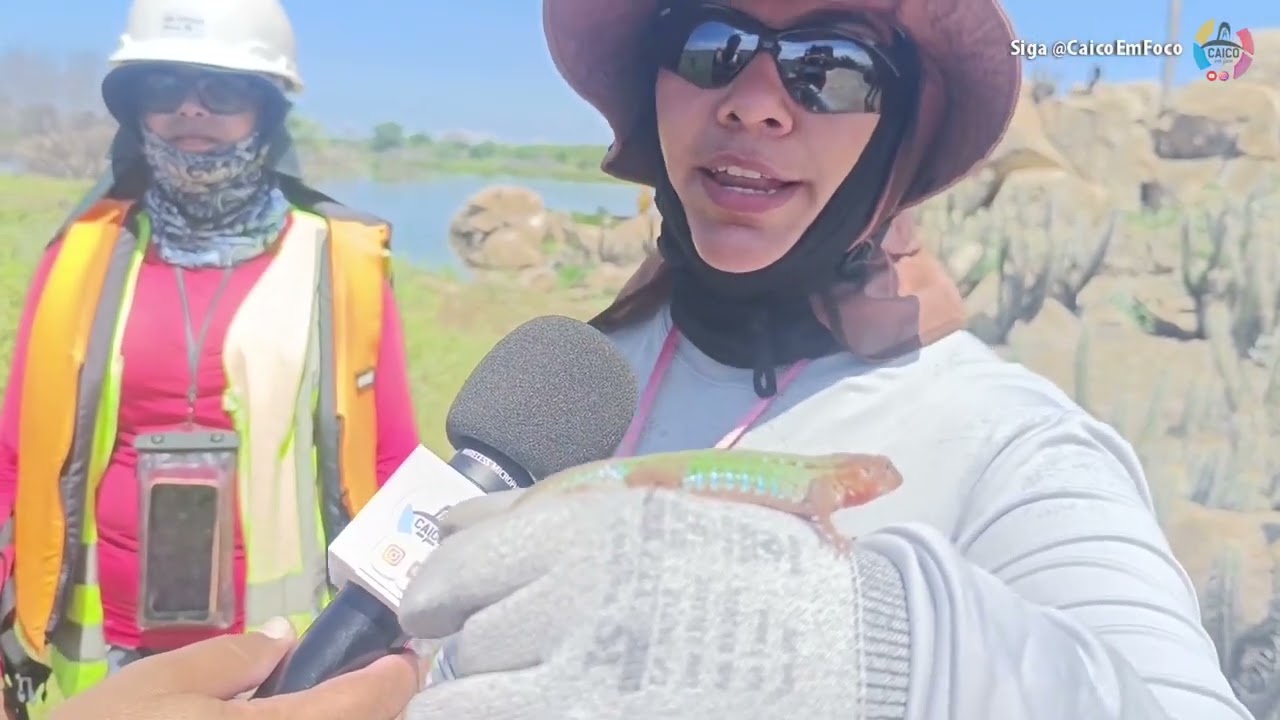 Barragem de Oiticica, Resgate e Relocação da Fauna.