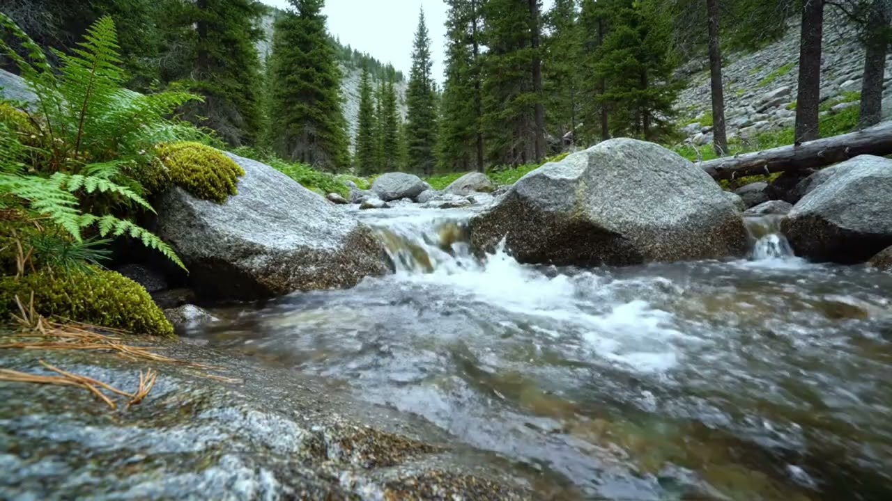 HispersRiver Nature Sounds for Deep Sleep  Flowing River Water & Birds Ambience