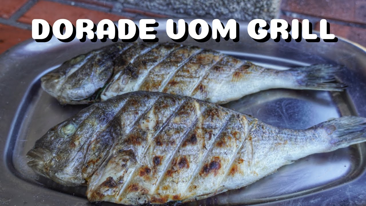 Portugiesische DORADE vom HOLZKOHLEGRILL - der BESTE WEG zum SAFTIGEN FISCH - BBQ -Video - 0815BBQ