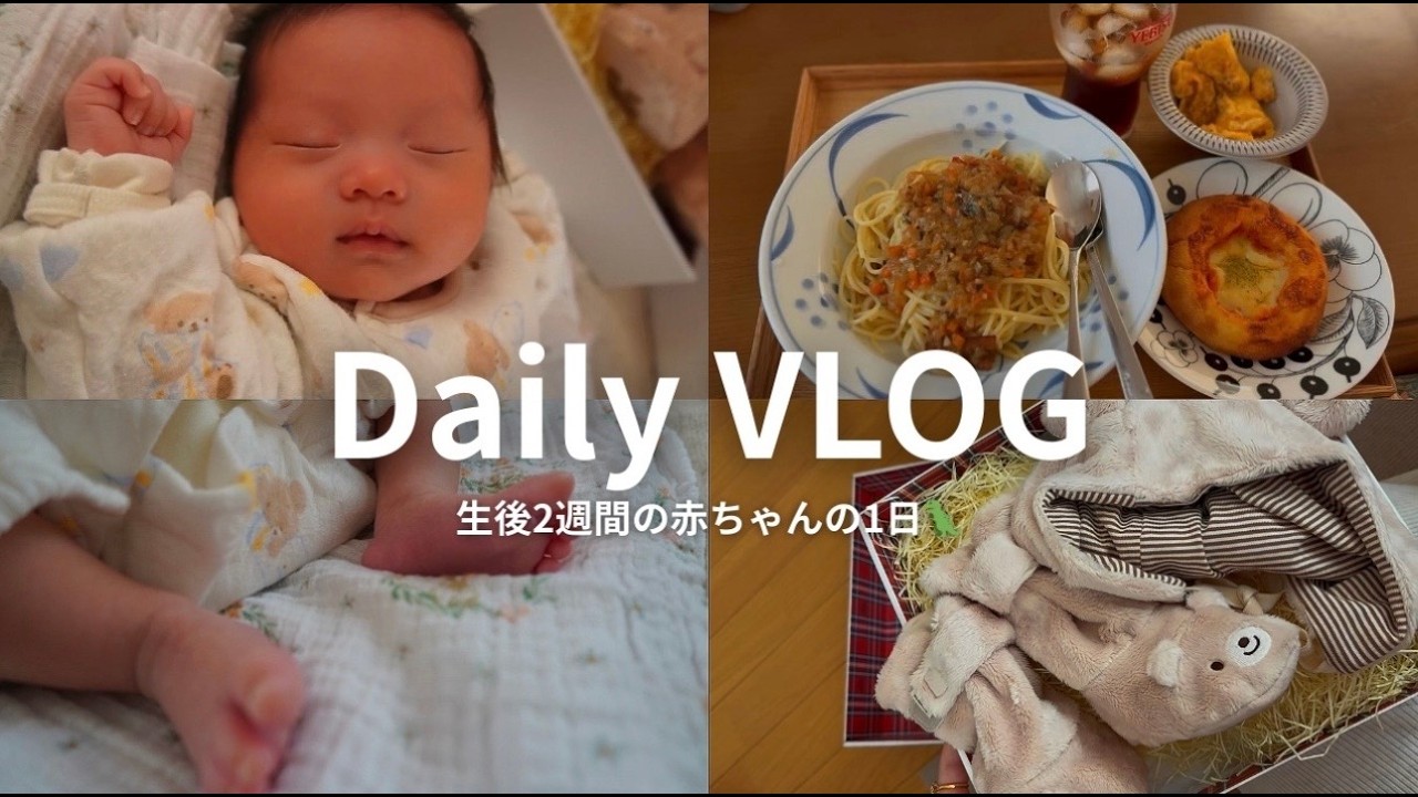 【新生児との1日】生後2週間の赤ちゃんの1日 | 完ミ | VLOG🧸🍼