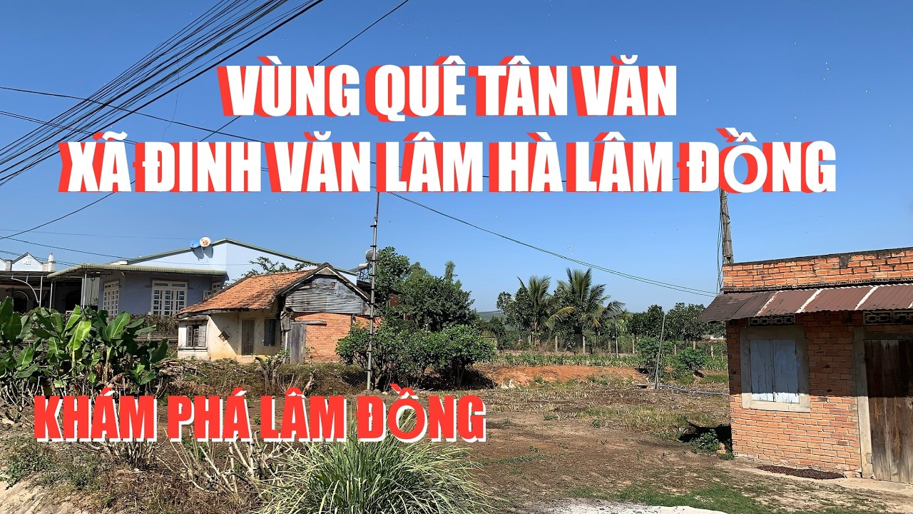 Vùng quê yên bình Tân Văn xã Đinh văn lâm hà lâm đồng.khám phá lâm đồng.
