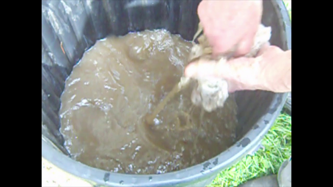 Lavage de la laine par Bruno