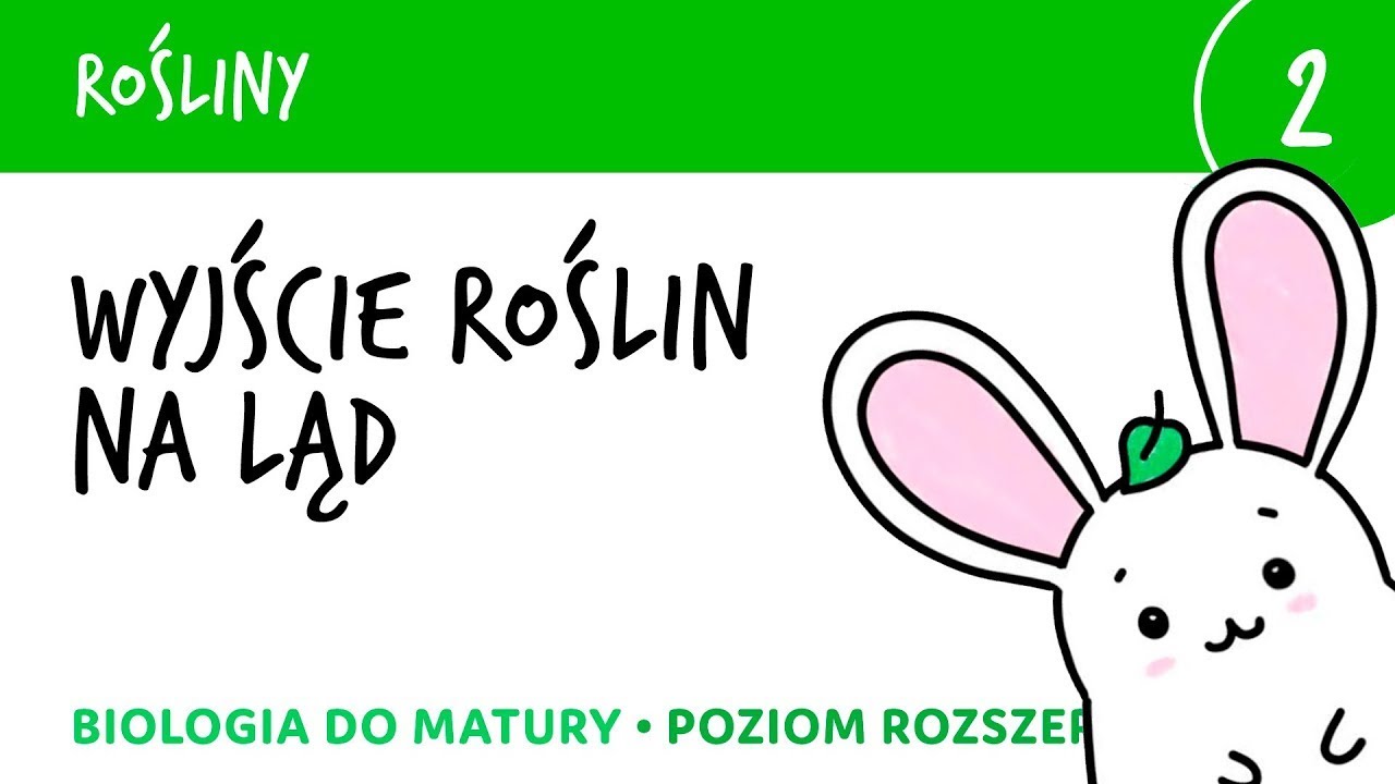 Rośliny 2 🌳 Wyjście roślin na ląd - wstęp do roślin lądowych - biologia do matury liceum rozszerzona