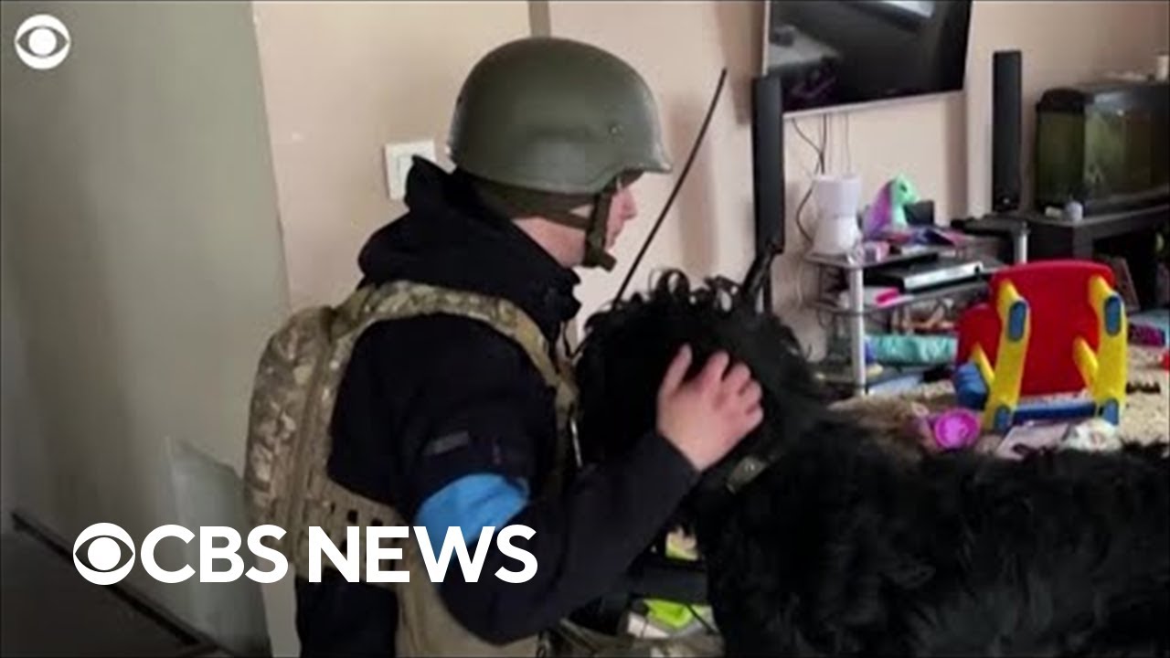 Ukrainian soldier takes in an abandoned dog from Kyiv
