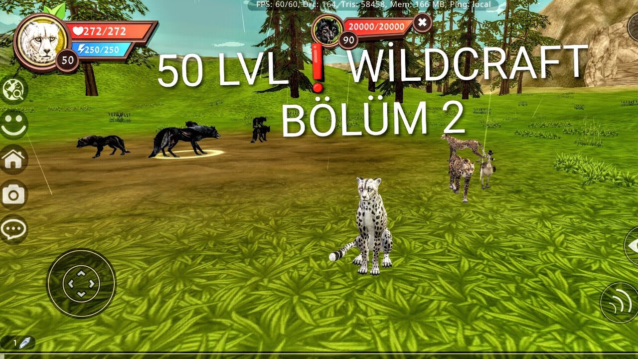 Bölüm 2 çita 50 LVL 