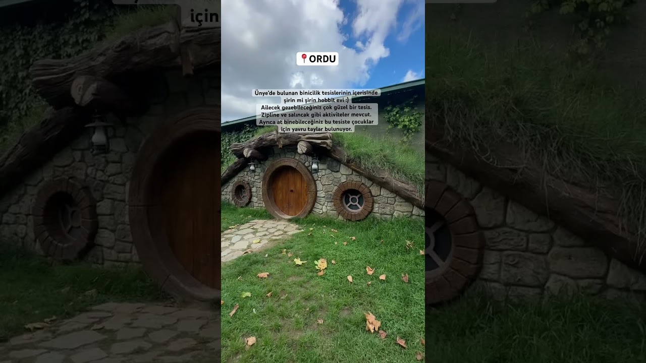 Hobbit evi #hobbit #ev #tesis #binicilik #ordu #karadeniz #zipline #salıncak