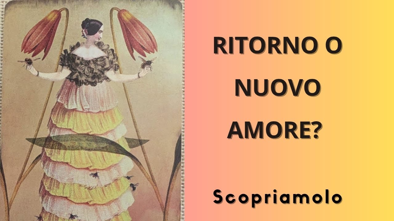 Ritorno o nuovo amore? 💜🌻