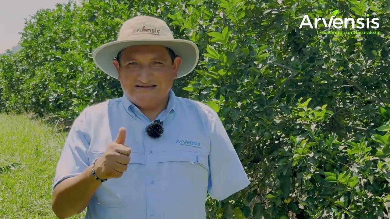  Poda de limón 🍋: el secreto para aumentar tu producción | Arvensis.