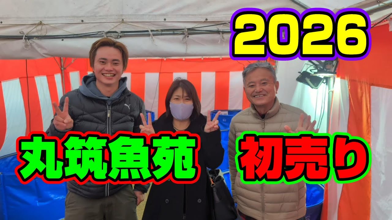 【汚池再生計画】2026福岡県久留米市『丸筑魚苑』さんも　新春初売りにいってきた‼#koifarm#koi#koipond＃丸筑魚苑＃丸筑紅白＃丸筑昭和＃泳ぐ宝石錦鯉