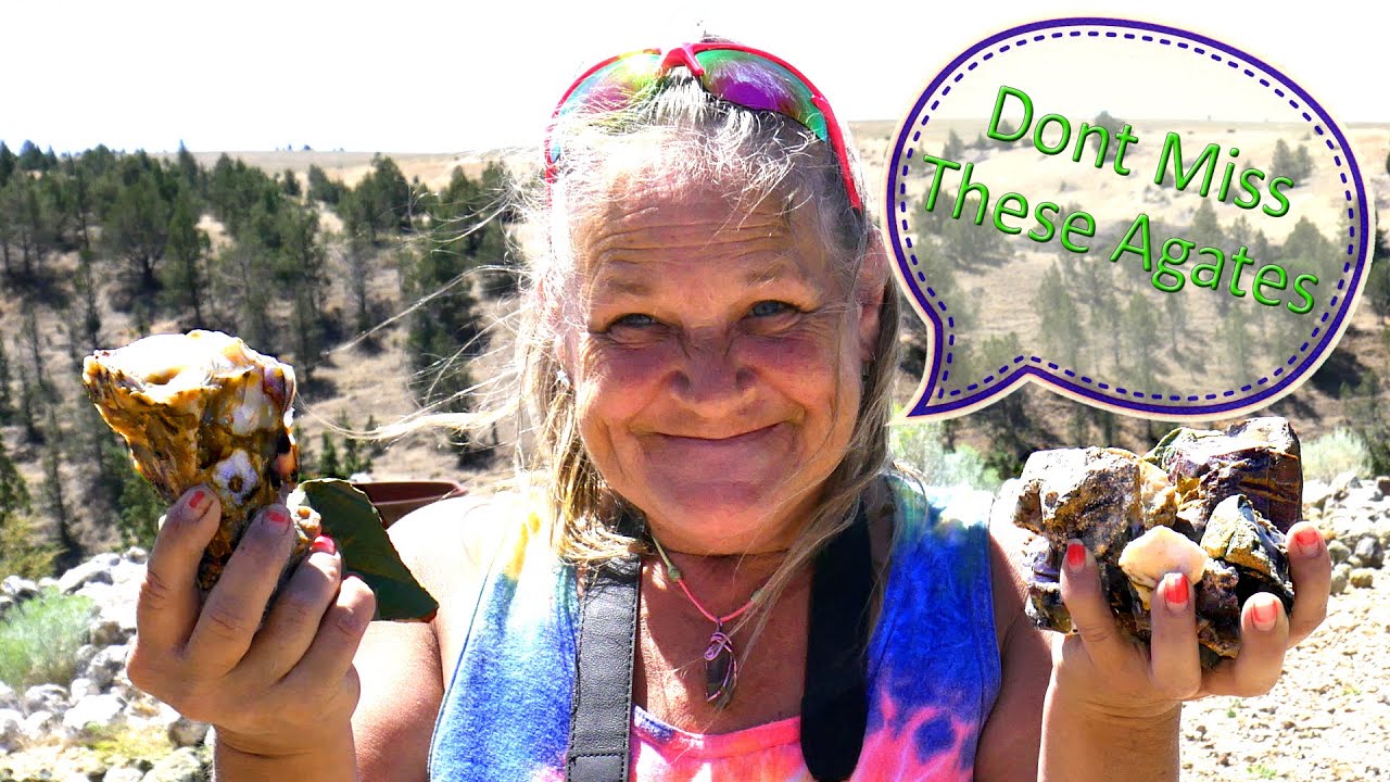 Rockhounding Oregon - Don't Miss These Agates and Thundereggs at the Polka Dot Agate Mine