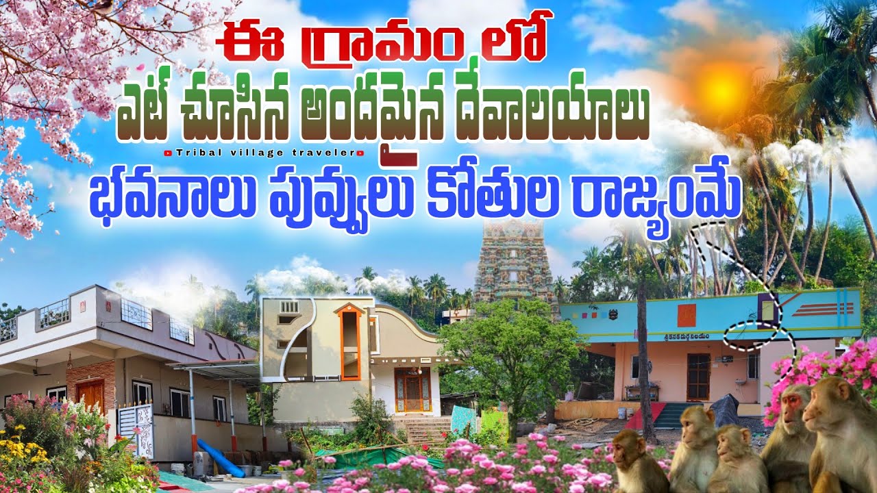 ఈ గ్రామంలో అందమైన చెట్లు భవనలే || tribal village traveler || #flatarealife #vlog 