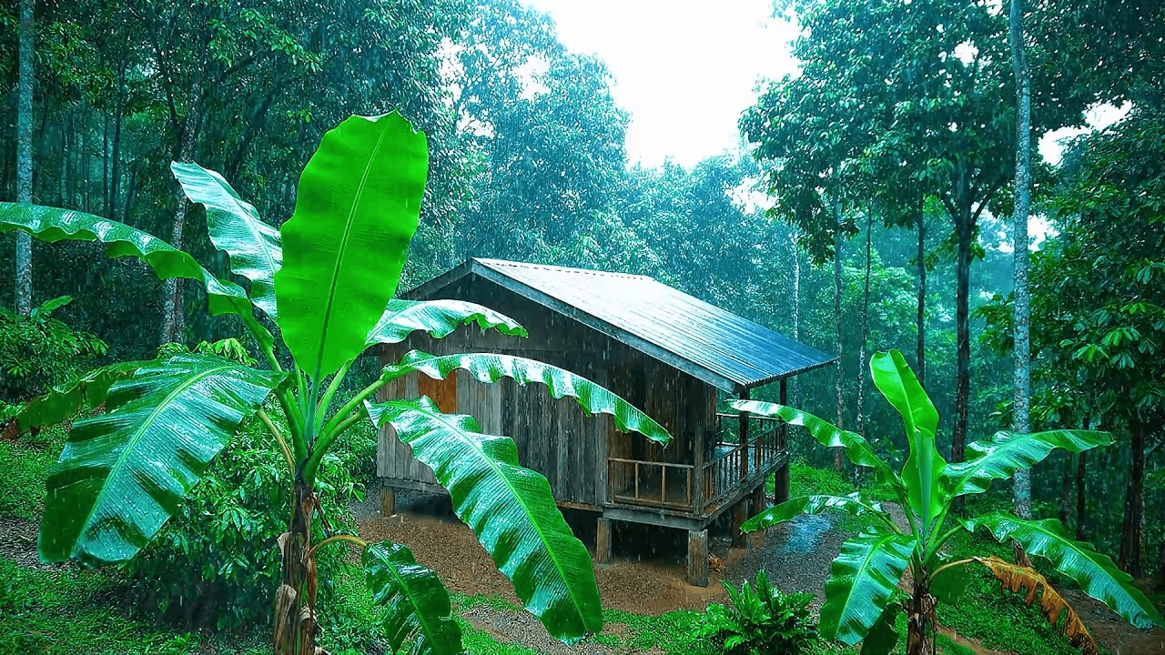 Deep Rainforest Rain Noise for Sleeping and Relaxing | Heavy Jungle Rain Sounds All Night