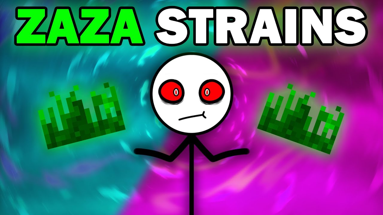 BEST ZAZA STRAINS?