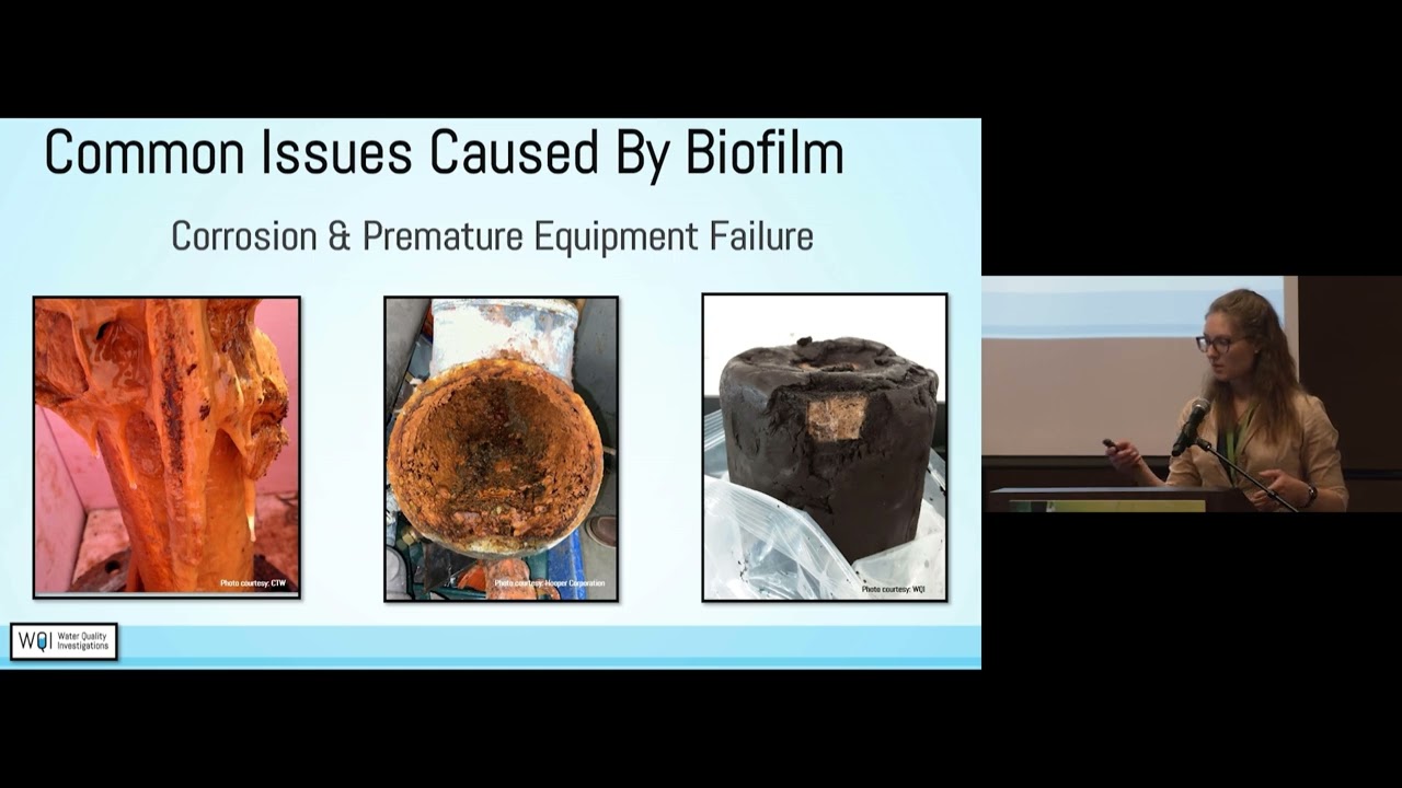 3.3 - Emily Hefty Dieckhoff - Biofilm: Influence on Water Quality and Corrosion in Drinking Water