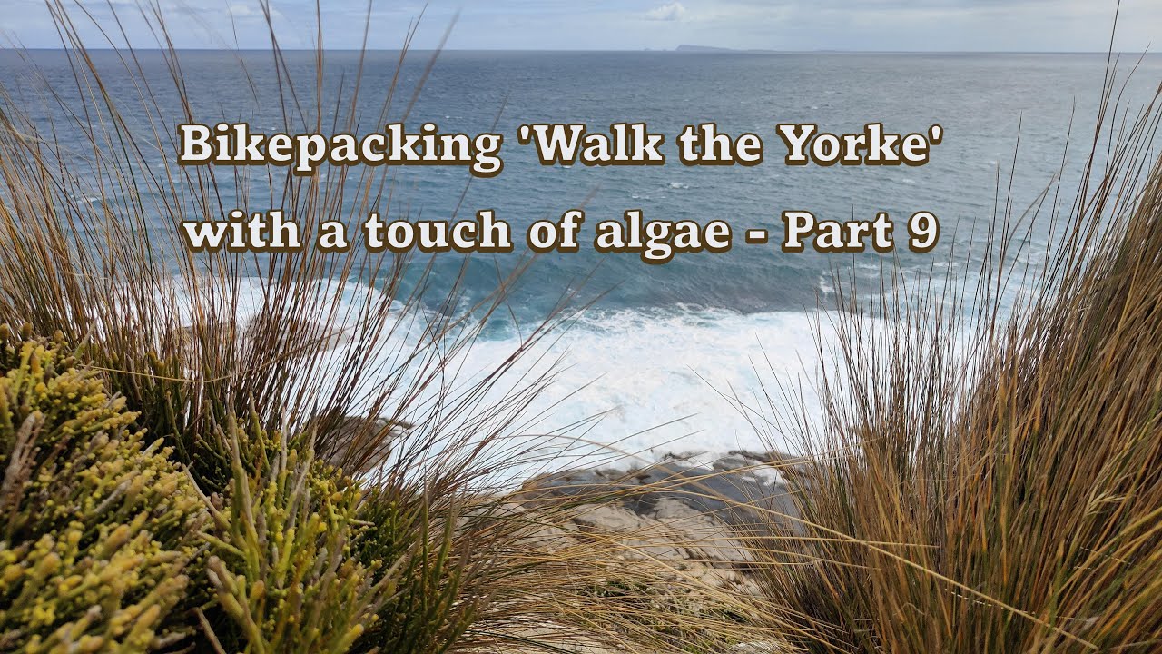 Bikepacking Walk The Yorke with a touch of algae - Part Nine