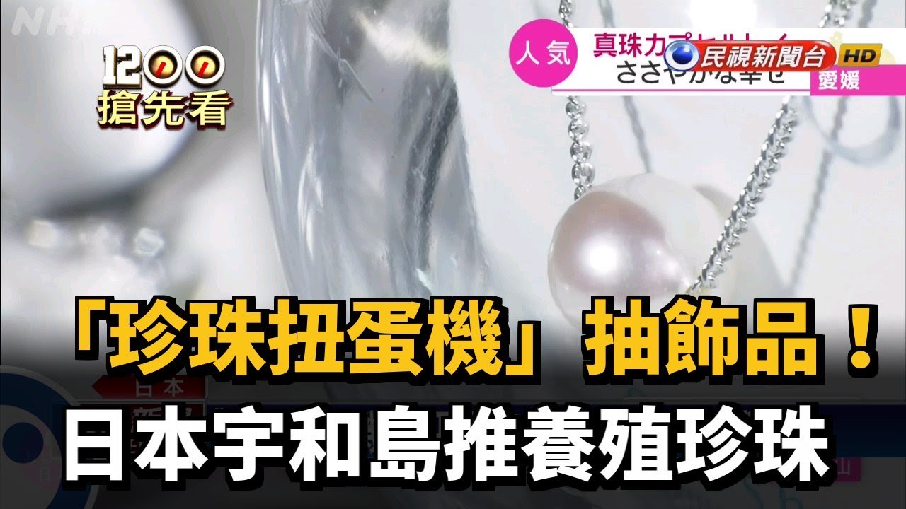 「珍珠扭蛋機」抽飾品! 日本宇和島推養殖珍珠－民視新聞