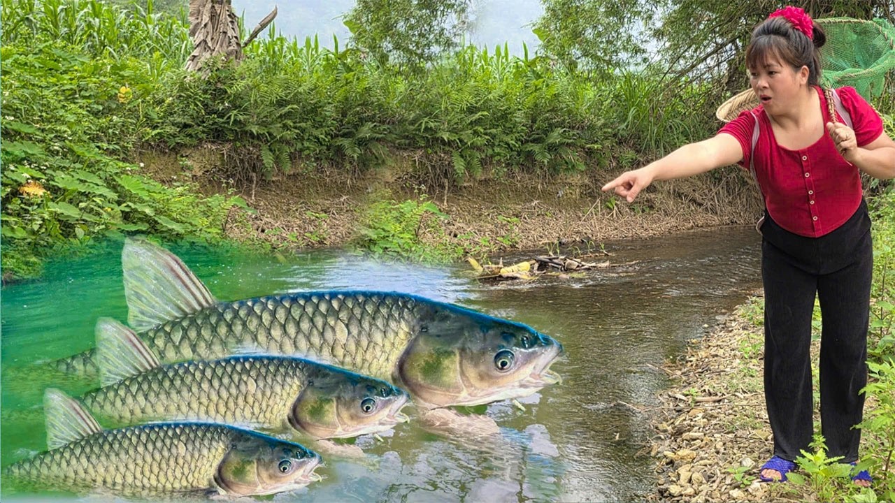 Ly Tu Nga lived alone in his dream house and caught a huge school of carp in the stream