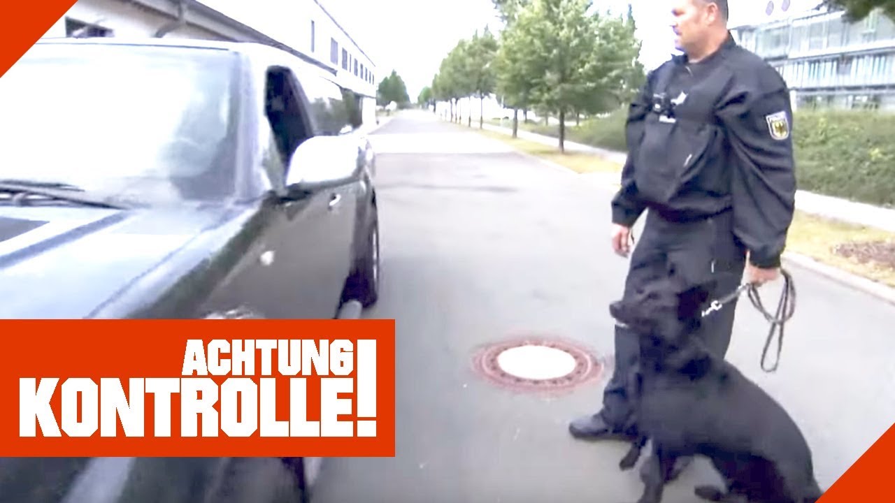 Die Hundestaffel der Polizei! Wie gut k&ouml;nnen Hunde helfen? | Achtung Kontrolle | kabel eins
