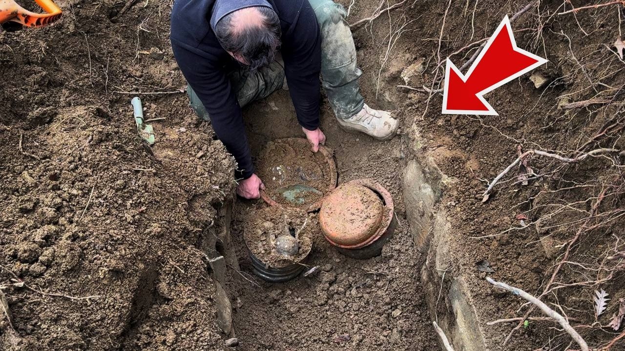 Мы нашли сокровище, которое изменит историю❗️ Шокирующая находка в пне на кладбище.