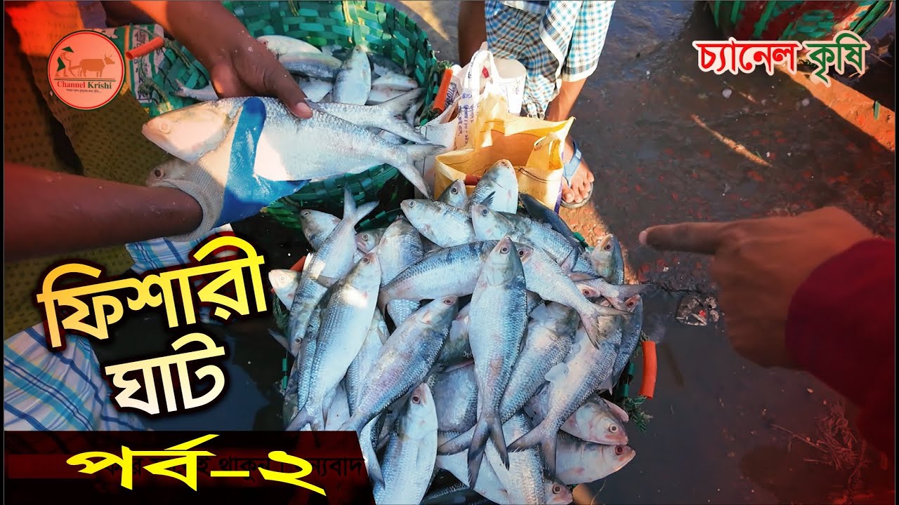 Fishery Ghat | New Fishery Ghat | Part-2 | Chittagong's Largest Fish Market | Krishi Vlog|Channel Krishi