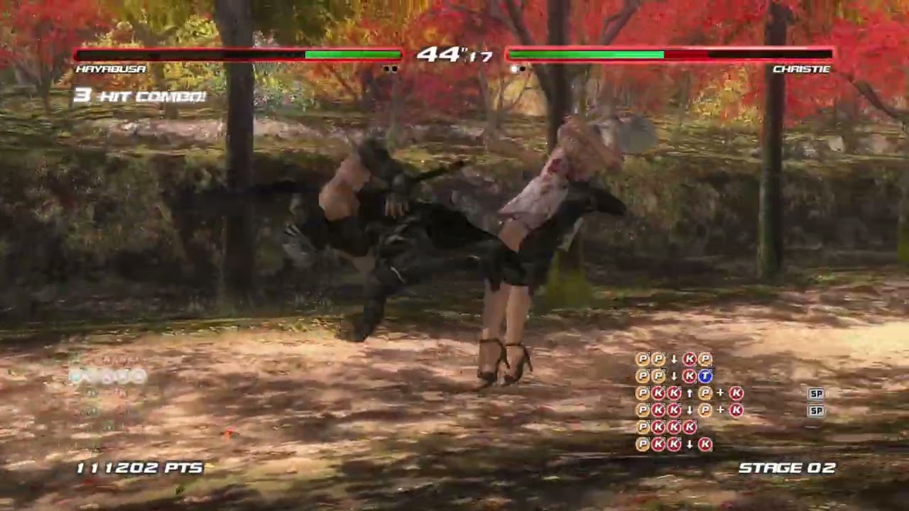 DEAD OR ALIVE 5 14
