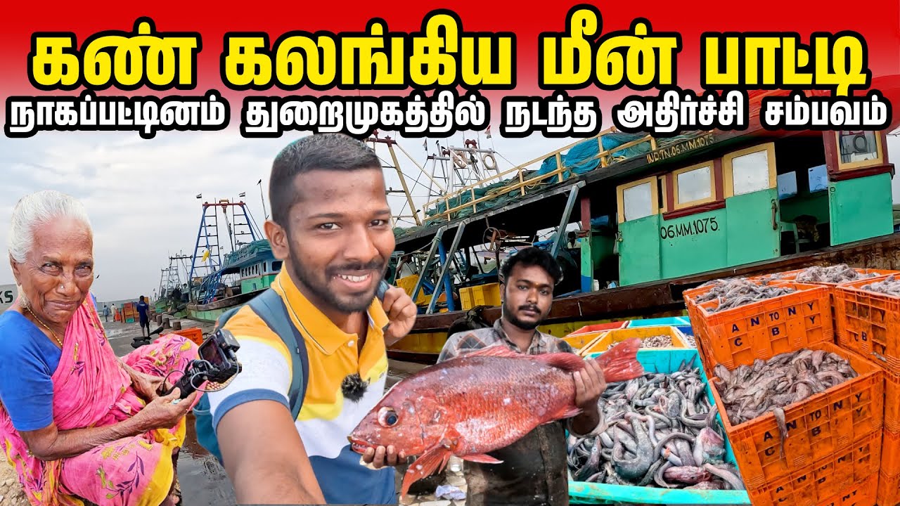 தமிழ்நாட்டு பாட்டியிடம் சிக்கிய சுதன் | Nagapattinam Fishing Harbour | Jaffna Suthan