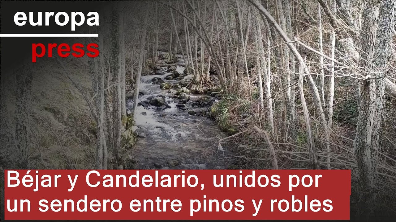 Béjar y Candelario (Salamanca), unidos por un sendero entre pinos y robles