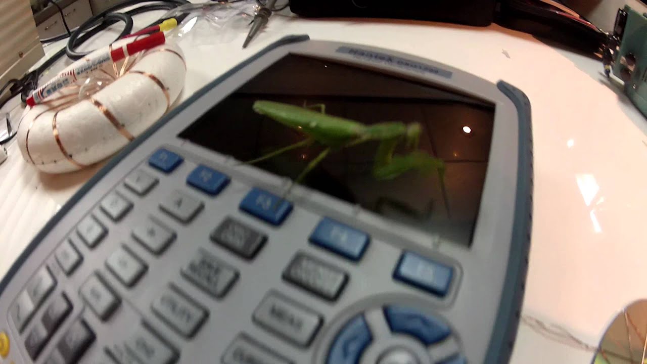 Praying mantis on Rodin coil playing CSETI contact tone