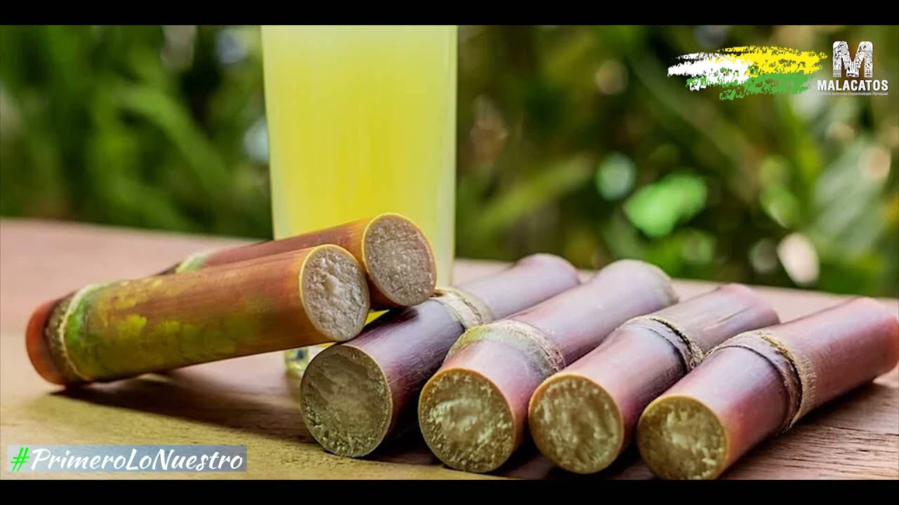 #Malacatos