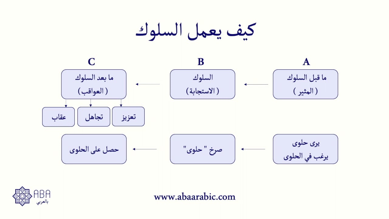 (ABC) شرح كيفية جمع بيانات السلوك