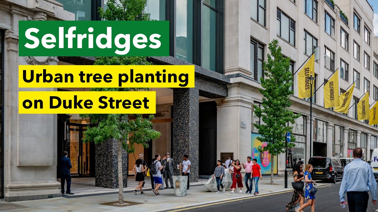 Urban Tree Planting at Selfridges, Duke Street