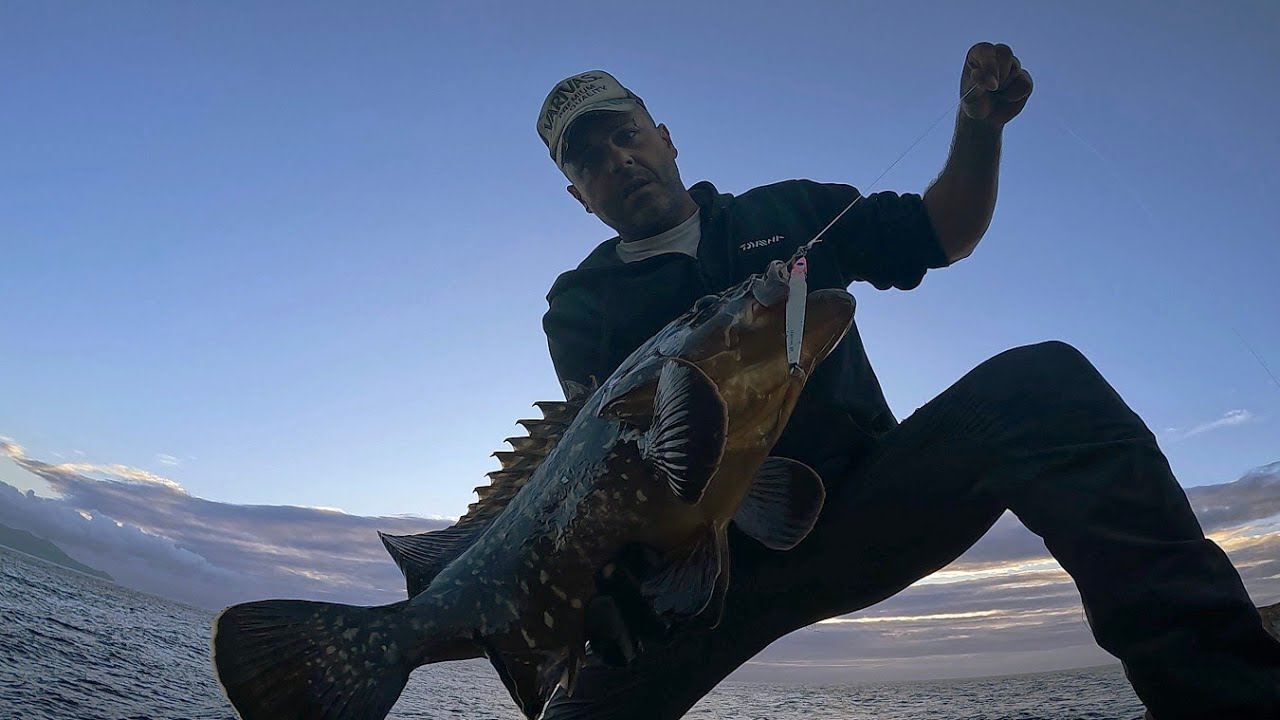 *ShoreJigging* Un Barracuda e una Cernia bruna stupenda all'alba - Barracuda & Grouper at the dawn