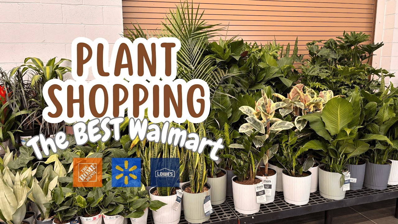Big Box Plant Shopping 2026 || 2x Walmart, Lowe's, Home Depot