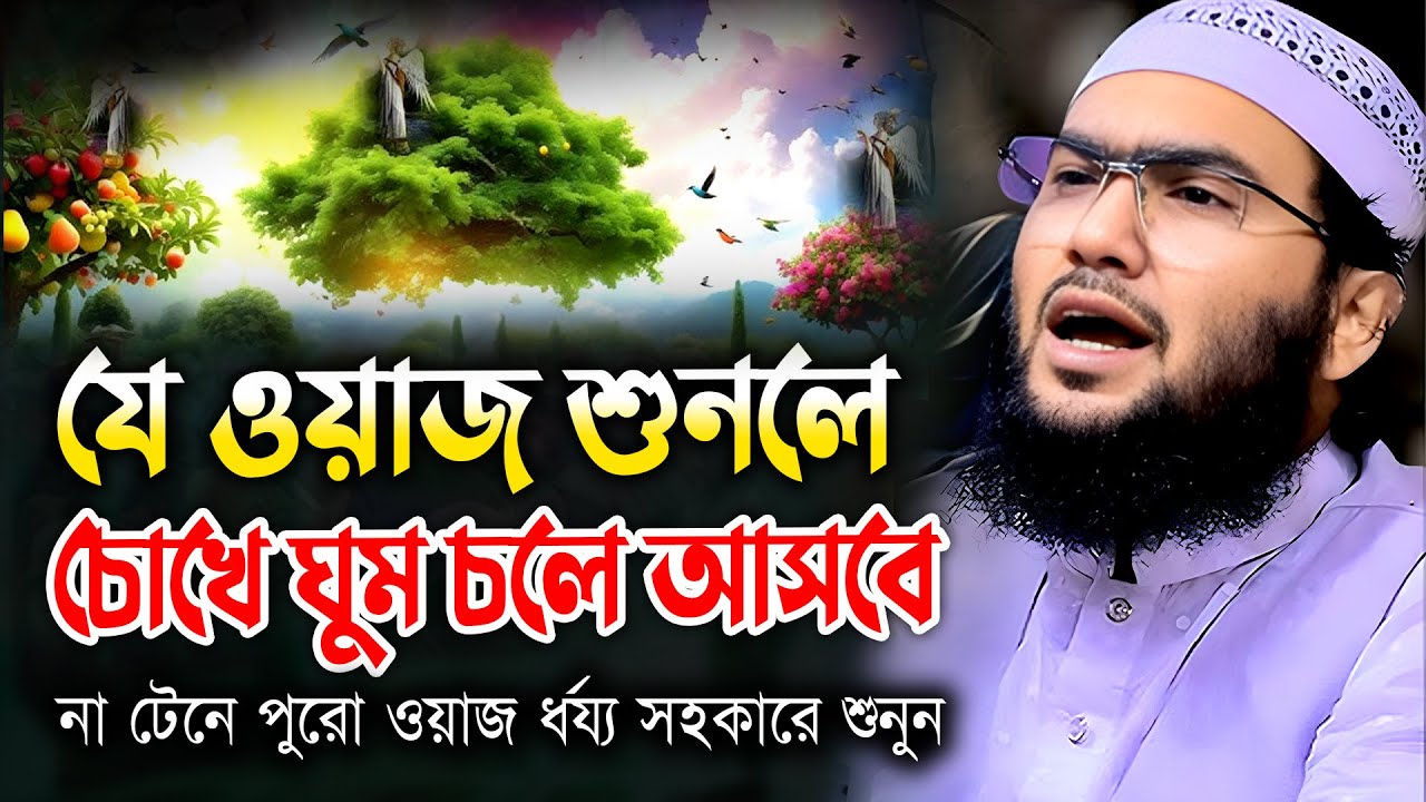 যে ওয়াজ শুনলে চোখে ঘুম চলে আসবে*শুয়াইব আহমদ আশ্রাফী । Shoaib Ahmed Asrafi । waz 2025